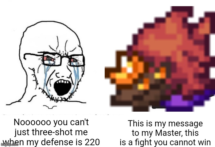 This is my message to my Master, this is a fight you cannot win; Noooooo you can't just three-shot me when my defense is 220 | made w/ Imgflip meme maker