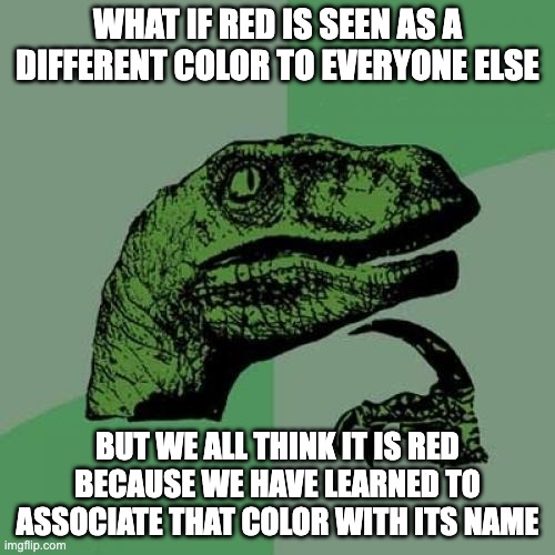 Philosoraptor | WHAT IF RED IS SEEN AS A DIFFERENT COLOR TO EVERYONE ELSE; BUT WE ALL THINK IT IS RED BECAUSE WE HAVE LEARNED TO ASSOCIATE THAT COLOR WITH ITS NAME | image tagged in memes,philosoraptor,colors | made w/ Imgflip meme maker