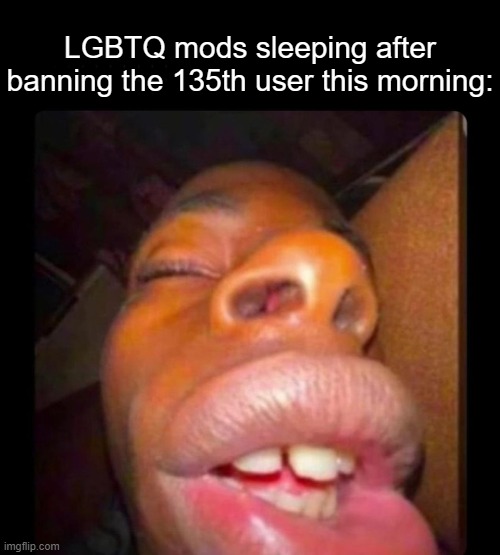 that ban list is longer than the Declaration of Independence | LGBTQ mods sleeping after banning the 135th user this morning: | image tagged in black dude sleeping | made w/ Imgflip meme maker