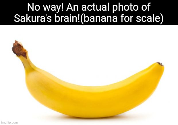 Banana | No way! An actual photo of Sakura's brain!(banana for scale) | image tagged in banana | made w/ Imgflip meme maker