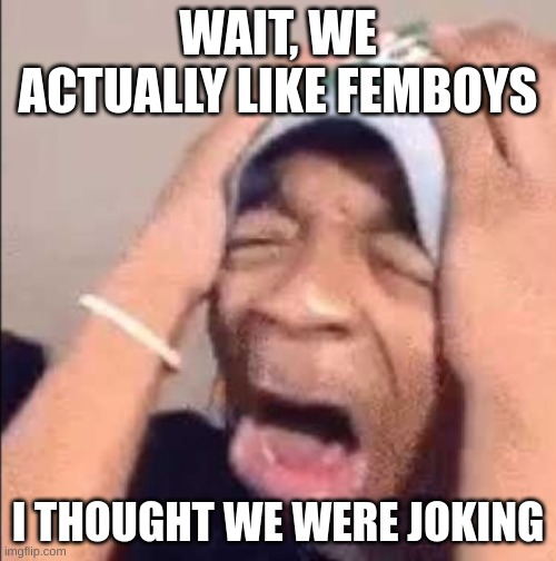 real | WAIT, WE ACTUALLY LIKE FEMBOYS; I THOUGHT WE WERE JOKING | image tagged in flightreacts crying | made w/ Imgflip meme maker