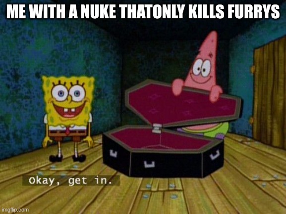 ME WITH A NUKE THATONLY KILLS FURRYS | image tagged in okay get in | made w/ Imgflip meme maker