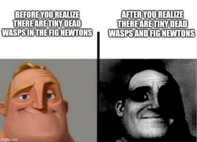 When you realize there are tiny dead wasps in fig Newtons | AFTER YOU REALIZE THERE ARE TINY DEAD WASPS AND FIG NEWTONS; BEFORE YOU REALIZE THERE ARE TINY DEAD WASPS IN THE FIG NEWTONS | image tagged in teacher's copy | made w/ Imgflip meme maker