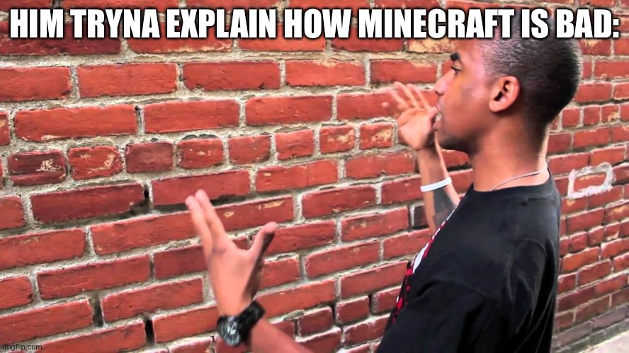 Brick wall | HIM TRYNA EXPLAIN HOW MINECRAFT IS BAD: | image tagged in brick wall | made w/ Imgflip meme maker