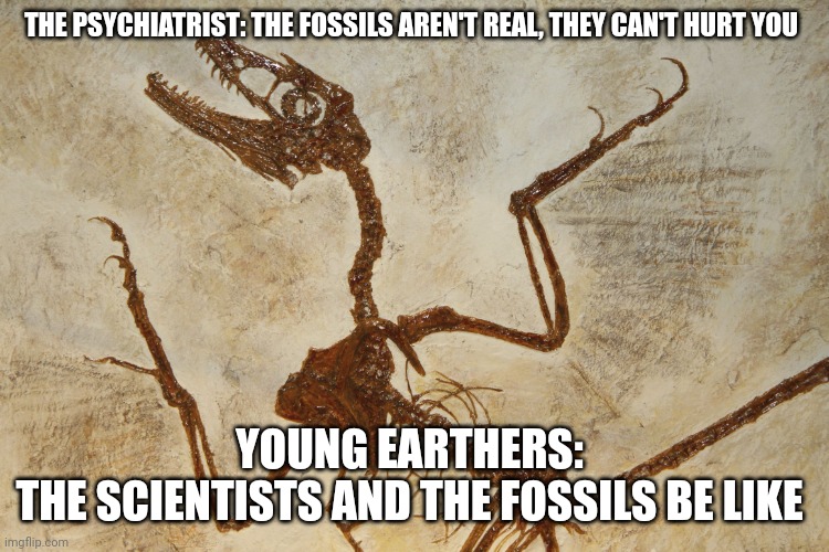 The fossils aren't real they can't hurt you | THE PSYCHIATRIST: THE FOSSILS AREN'T REAL, THEY CAN'T HURT YOU; YOUNG EARTHERS: 
THE SCIENTISTS AND THE FOSSILS BE LIKE | image tagged in what n' fossilization | made w/ Imgflip meme maker