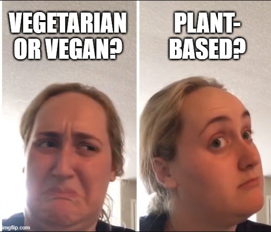 vegetarian vegan plant-based | VEGETARIAN OR VEGAN? PLANT-
BASED? | image tagged in kombucha girl | made w/ Imgflip meme maker