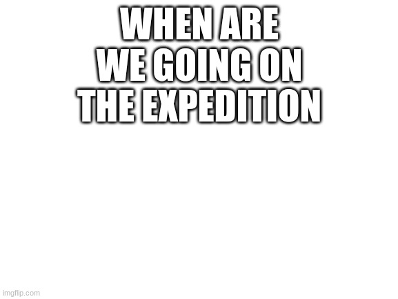 Blank White Template | WHEN ARE WE GOING ON THE EXPEDITION | image tagged in blank white template | made w/ Imgflip meme maker