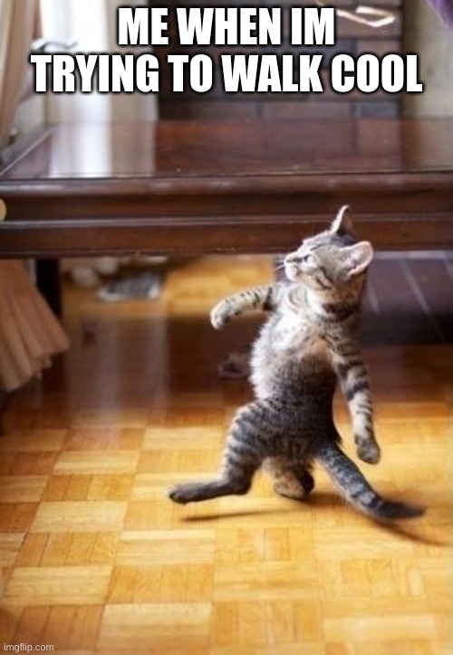 Cool Cat Stroll | ME WHEN IM TRYING TO WALK COOL | image tagged in memes,cool cat stroll | made w/ Imgflip meme maker