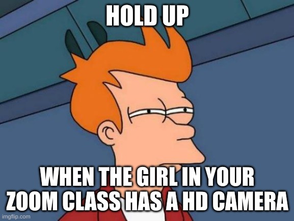 Futurama Fry Meme | HOLD UP; WHEN THE GIRL IN YOUR ZOOM CLASS HAS A HD CAMERA | image tagged in memes,futurama fry | made w/ Imgflip meme maker