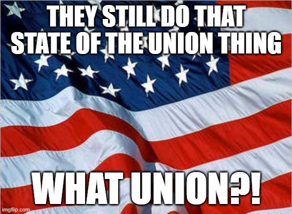 Yugoslavia was more united | THEY STILL DO THAT STATE OF THE UNION THING; WHAT UNION?! | image tagged in usa flag | made w/ Imgflip meme maker