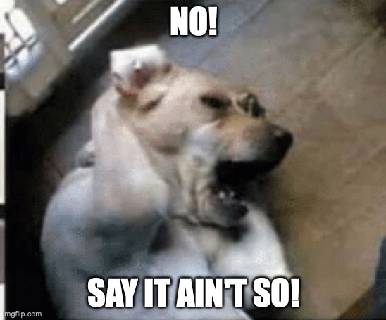 Say it ain't so | NO! SAY IT AIN'T SO! | image tagged in crying dog | made w/ Imgflip meme maker