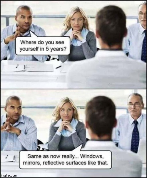 I Like This Guy ! | image tagged in job interview,reflection | made w/ Imgflip meme maker