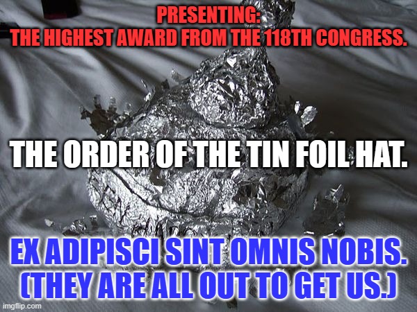 "What is with the FBI's fixation on law breakers?" They aim to find out! | PRESENTING:
THE HIGHEST AWARD FROM THE 118TH CONGRESS. THE ORDER OF THE TIN FOIL HAT. EX ADIPISCI SINT OMNIS NOBIS.
(THEY ARE ALL OUT TO GET US.) | image tagged in politics | made w/ Imgflip meme maker