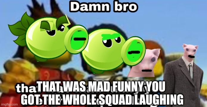 Damn bro you got the whole squad laughing | THAT WAS MAD FUNNY YOU  GOT THE WHOLE SQUAD LAUGHING | image tagged in damn bro you got the whole squad laughing | made w/ Imgflip meme maker