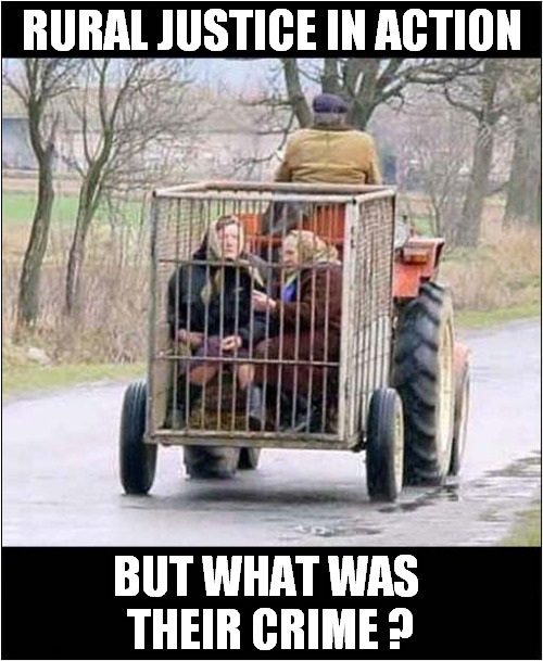 Gangsta Grannies ! | RURAL JUSTICE IN ACTION; BUT WHAT WAS  THEIR CRIME ? | image tagged in gangsta,granny,justice,cage | made w/ Imgflip meme maker