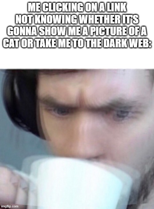 meme. | ME CLICKING ON A LINK NOT KNOWING WHETHER IT'S GONNA SHOW ME A PICTURE OF A CAT OR TAKE ME TO THE DARK WEB: | image tagged in concerned sean intensifies | made w/ Imgflip meme maker