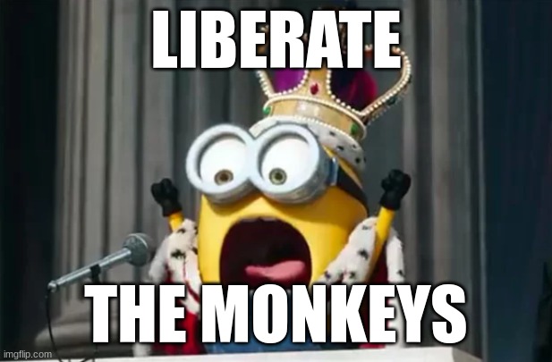 LIBERATE; THE MONKEYS | image tagged in minions king bob | made w/ Imgflip meme maker