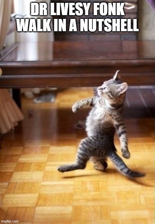 Cool Cat Stroll Meme | DR LIVESY FONK WALK IN A NUTSHELL | image tagged in memes,cool cat stroll | made w/ Imgflip meme maker