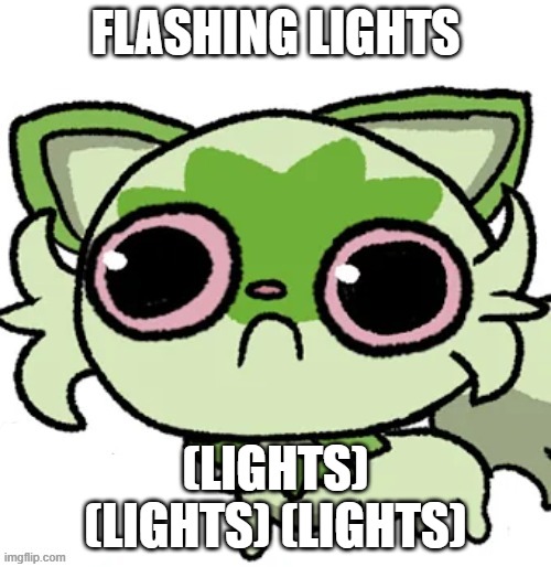 weed cat | FLASHING LIGHTS; (LIGHTS) (LIGHTS) (LIGHTS) | image tagged in weed cat | made w/ Imgflip meme maker
