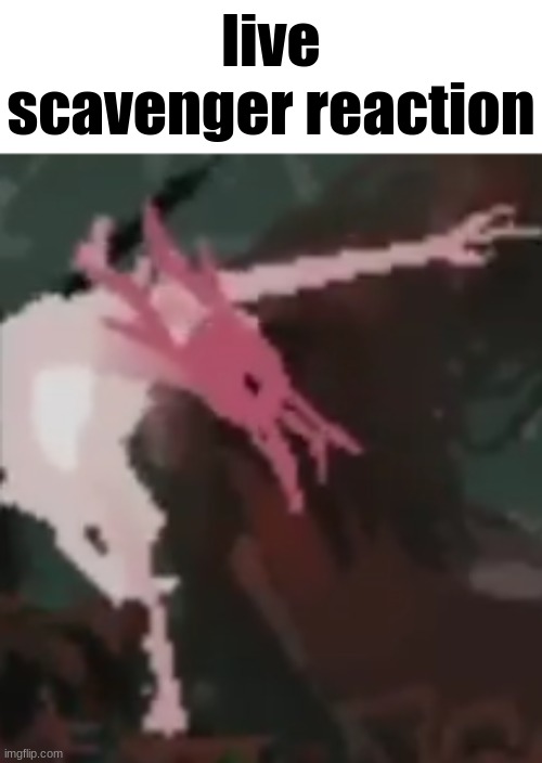 the pointer | live scavenger reaction | image tagged in the pointer | made w/ Imgflip meme maker