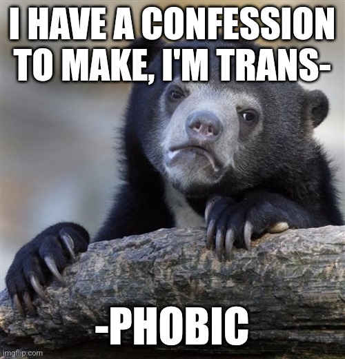 Confession Bear Meme | I HAVE A CONFESSION TO MAKE, I'M TRANS-; -PHOBIC | image tagged in memes,confession bear | made w/ Imgflip meme maker