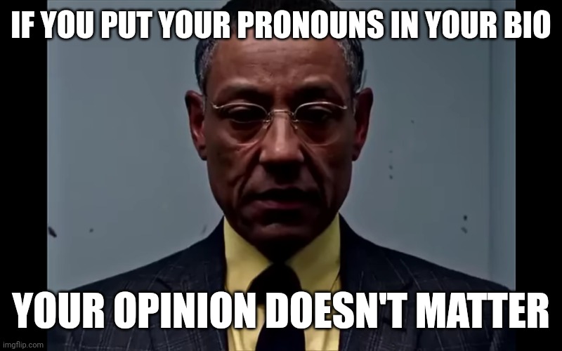 Real | IF YOU PUT YOUR PRONOUNS IN YOUR BIO; YOUR OPINION DOESN'T MATTER | image tagged in gus fring flashback | made w/ Imgflip meme maker