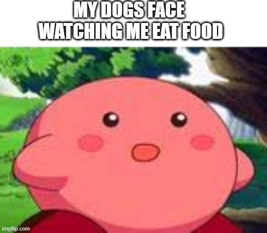 kirbo doggo | MY DOGS FACE 
WATCHING ME EAT FOOD | image tagged in suprised kirby,kirby,kirby has found your sin unforgivable,dog,funny | made w/ Imgflip meme maker