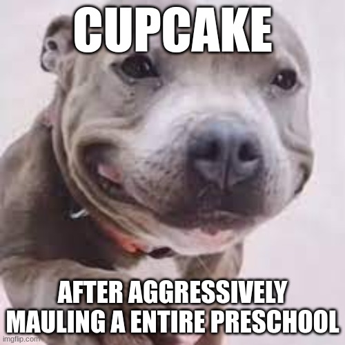 Don't worry cupcake dont bite | CUPCAKE; AFTER AGGRESSIVELY MAULING A ENTIRE PRESCHOOL | image tagged in cupcake | made w/ Imgflip meme maker