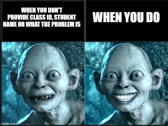 WHEN YOU DO; WHEN YOU DON'T PROVIDE CLASS ID, STUDENT NAME OR WHAT THE PROBLEM IS | image tagged in student,gollum,tech support | made w/ Imgflip meme maker