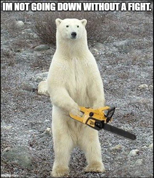 chainsaw polar bear | IM NOT GOING DOWN WITHOUT A FIGHT. | image tagged in chainsaw polar bear | made w/ Imgflip meme maker
