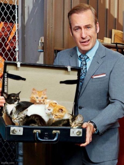 better call saul moment | image tagged in bob odenkirk | made w/ Imgflip meme maker