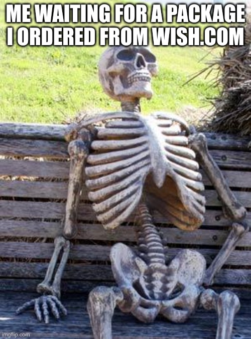 Waiting Skeleton | ME WAITING FOR A PACKAGE I ORDERED FROM WISH.COM | image tagged in memes,waiting skeleton | made w/ Imgflip meme maker