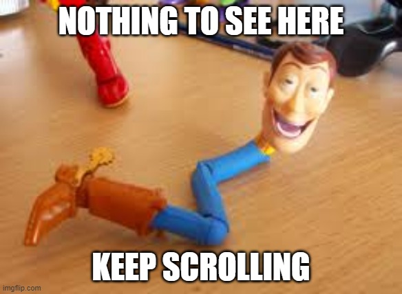 meme. | NOTHING TO SEE HERE; KEEP SCROLLING | image tagged in i am the snake in my boot | made w/ Imgflip meme maker