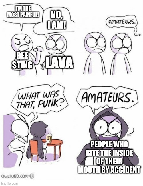 So true, though. | I'M THE MOST PAINFUL! NO, I AM! BEE STING; LAVA; PEOPLE WHO BITE THE INSIDE OF THEIR MOUTH BY ACCIDENT | image tagged in amateurs,painful | made w/ Imgflip meme maker