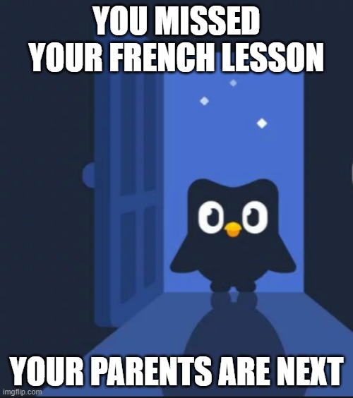 Duolingo bird | YOU MISSED YOUR FRENCH LESSON; YOUR PARENTS ARE NEXT | image tagged in duolingo bird | made w/ Imgflip meme maker