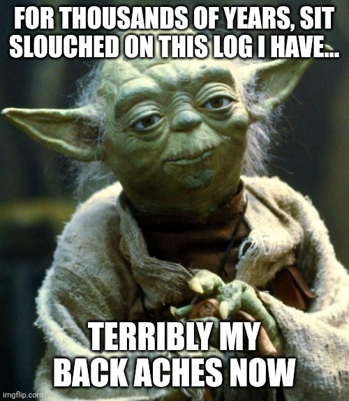 Yoda slouches for thousands of years and now his back is ruined | FOR THOUSANDS OF YEARS, SIT SLOUCHED ON THIS LOG I HAVE... TERRIBLY MY BACK ACHES NOW | image tagged in memes,star wars yoda | made w/ Imgflip meme maker