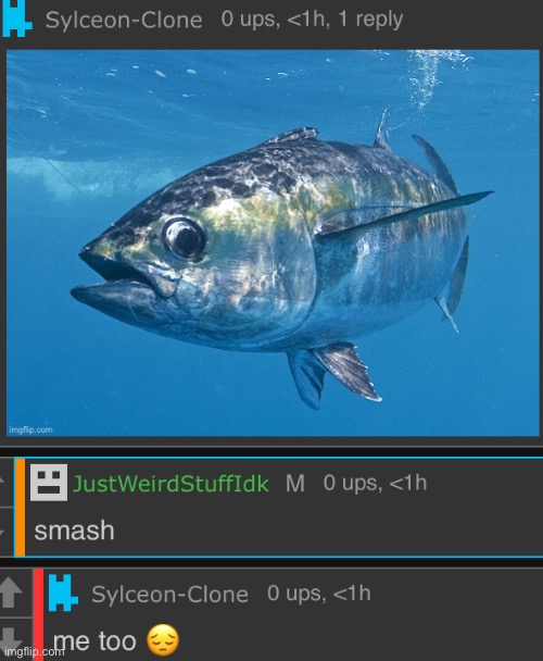 msmg out of context 2 | image tagged in bruh,lol,why are you reading this | made w/ Imgflip meme maker