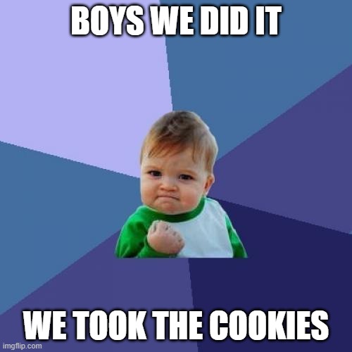 Success Kid | BOYS WE DID IT; WE TOOK THE COOKIES | image tagged in memes,success kid | made w/ Imgflip meme maker