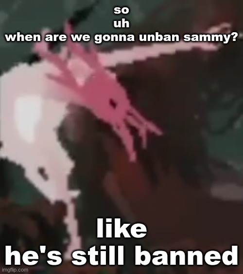 the pointer | so
uh
when are we gonna unban sammy? like
he's still banned | image tagged in the pointer | made w/ Imgflip meme maker