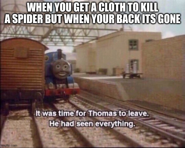It was time for thomas to leave | WHEN YOU GET A CLOTH TO KILL A SPIDER BUT WHEN YOUR BACK ITS GONE | image tagged in it was time for thomas to leave | made w/ Imgflip meme maker