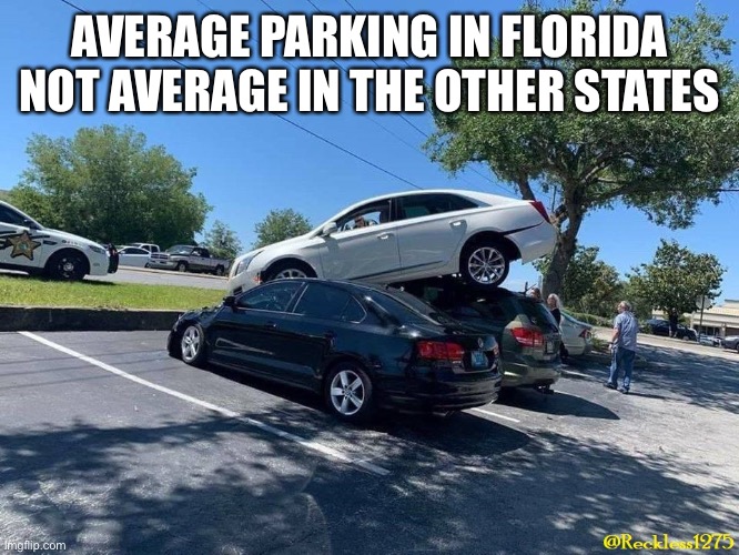 Ohio=hate omfg | AVERAGE PARKING IN FLORIDA
NOT AVERAGE IN THE OTHER STATES | image tagged in bad driver | made w/ Imgflip meme maker