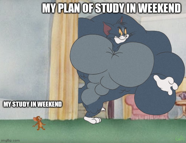 muscled Tom | MY PLAN OF STUDY IN WEEKEND; MY STUDY IN WEEKEND | image tagged in muscled tom | made w/ Imgflip meme maker