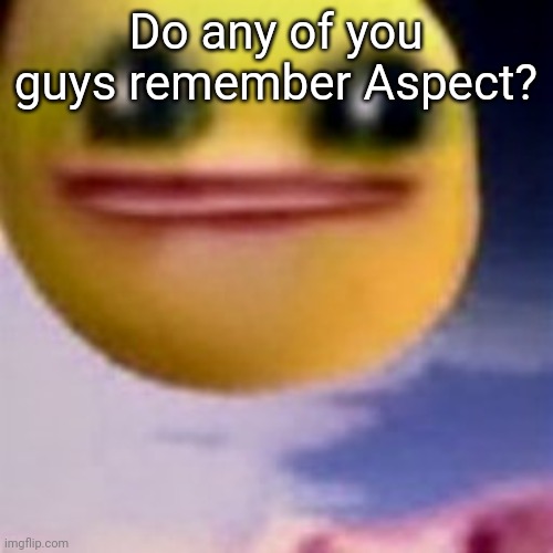 I think I knew them before they deleted. | Do any of you guys remember Aspect? | image tagged in fortnite balls | made w/ Imgflip meme maker