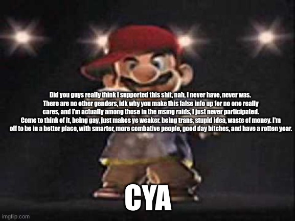 Yell at me all ye want idrc. | Did you guys really think I supported this shit, nah, I never have, never was. 
There are no other genders, idk why you make this false info up for no one really cares, and I'm actually among those in the msmg raids, I just never participated.
Come to think of it, being gay, just makes ye weaker. being trans, stupid idea, waste of money. I'm off to be in a better place, with smarter, more combative people, good day bitches, and have a rotten year. CYA | image tagged in gangsta mario | made w/ Imgflip meme maker