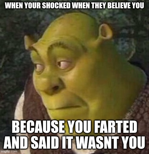 Shrek | WHEN YOUR SHOCKED WHEN THEY BELIEVE YOU; BECAUSE YOU FARTED AND SAID IT WASNT YOU | image tagged in shrek | made w/ Imgflip meme maker