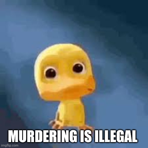 Crying duck | MURDERING IS ILLEGAL | image tagged in crying duck | made w/ Imgflip meme maker