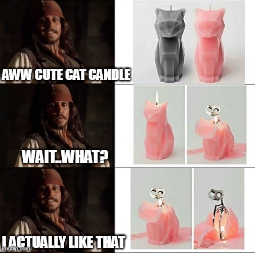 I NEED THAT | AWW CUTE CAT CANDLE; WAIT..WHAT? I ACTUALLY LIKE THAT | image tagged in jack sparrow yes no,cat,candle,jack sparrow,pirates of the caribbean | made w/ Imgflip meme maker