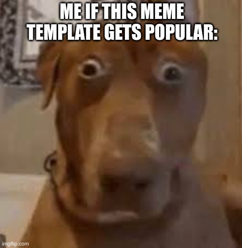 Shocked Dog original template | ME IF THIS MEME TEMPLATE GETS POPULAR: | image tagged in shocked dog | made w/ Imgflip meme maker