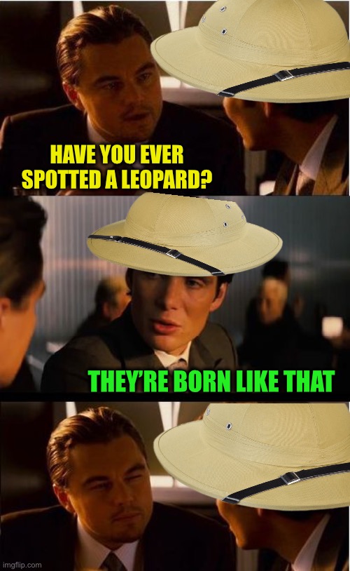 Meow :-) | HAVE YOU EVER SPOTTED A LEOPARD? THEY’RE BORN LIKE THAT | image tagged in memes,inception | made w/ Imgflip meme maker