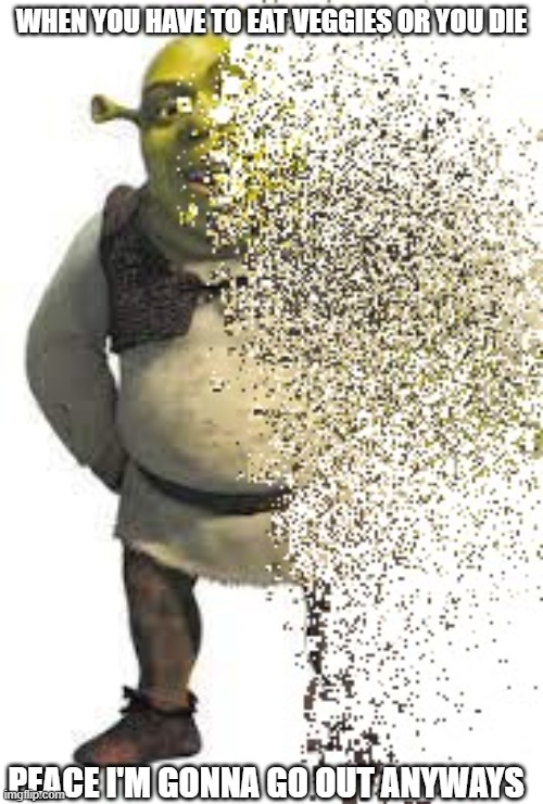 well I've lived long enough | WHEN YOU HAVE TO EAT VEGGIES OR YOU DIE; PEACE I'M GONNA GO OUT ANYWAYS | image tagged in disintegrating shrek | made w/ Imgflip meme maker